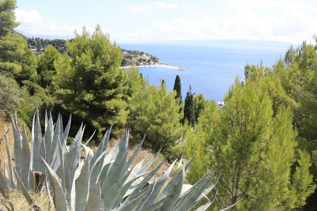 Beach Hotel Split Podstrana Bagian luar foto